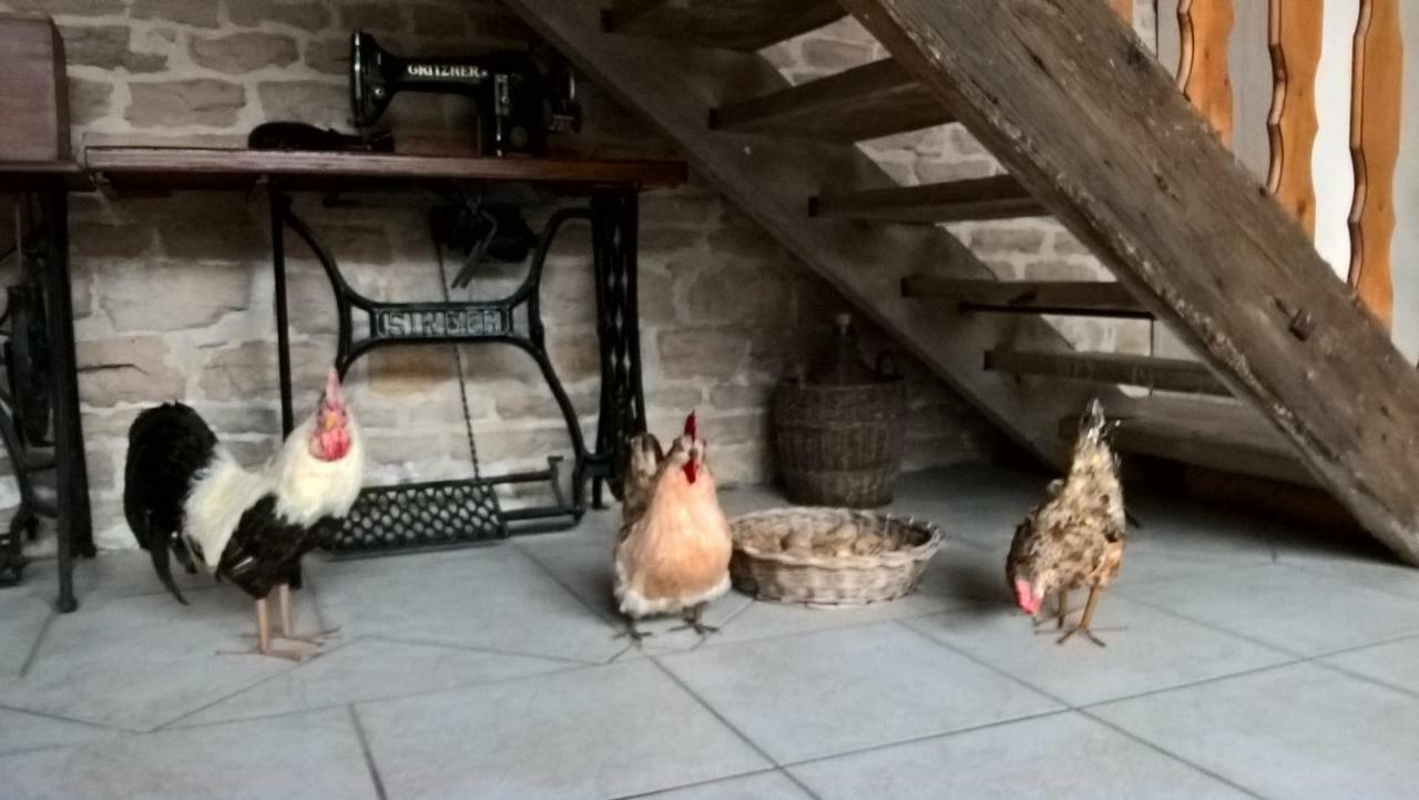 La Ferme Du Grand Faubourg Bed & Breakfast Pont-de-Vaux Dış mekan fotoğraf